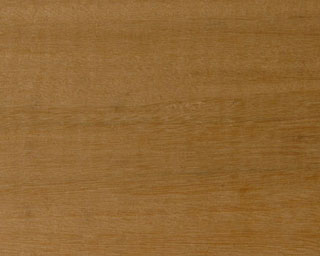 Chengal Wood Close-up