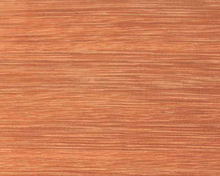 Kempas Wood Close-up
