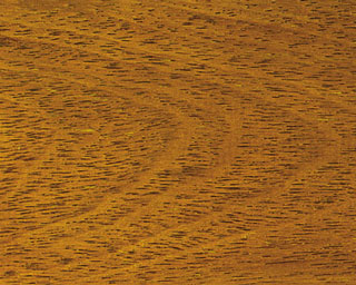 Merbau Wood Close-up