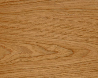 Teak Wood Close-up