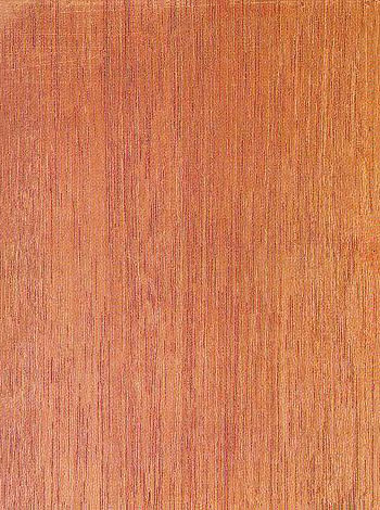 Red Meranti